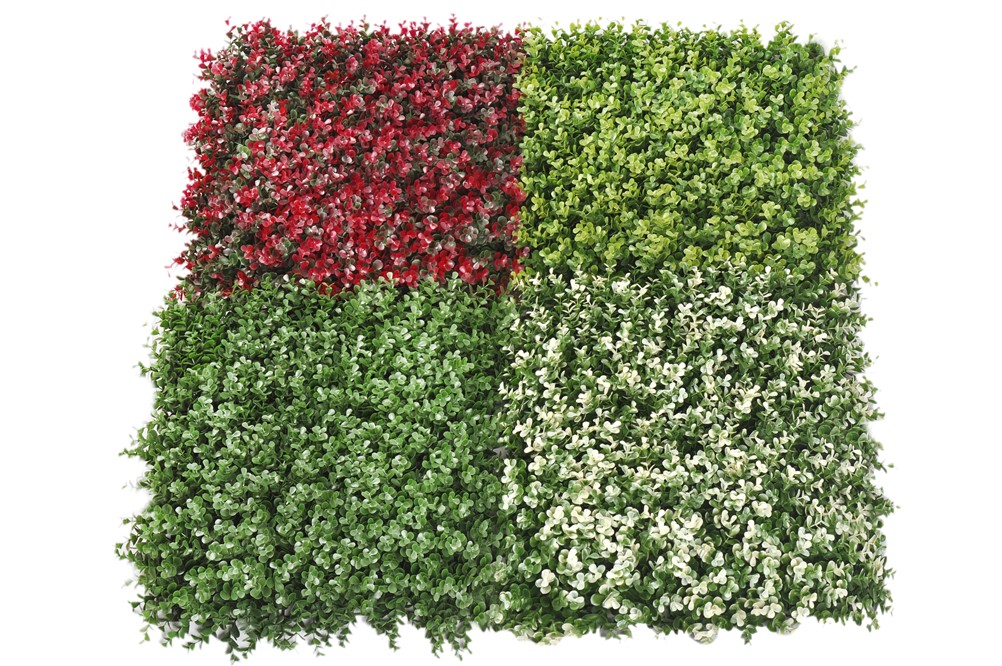 UV Lİ OKALİPTUS TABAKA