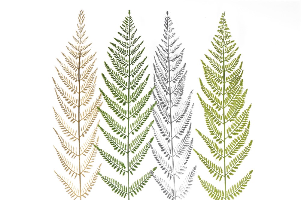 YERLİ ÜRETİM (TEK DAL) MODELLERİMİZ